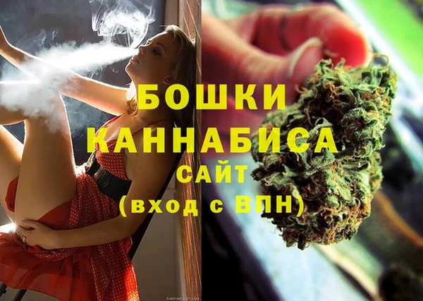 тгк Богданович