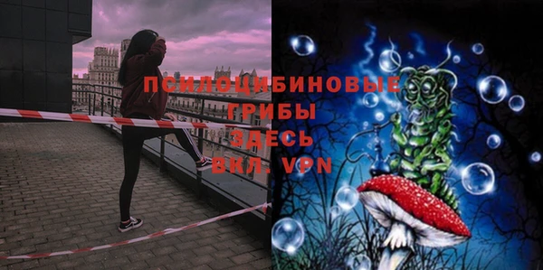 тгк Богданович