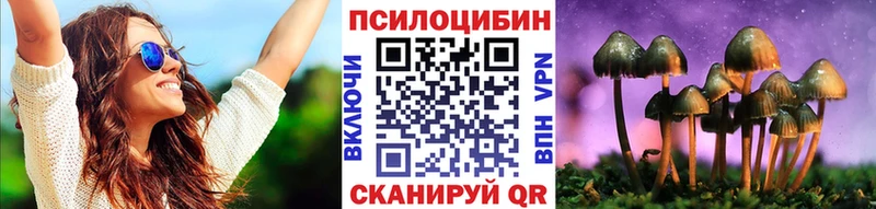 Галлюциногенные грибы Psilocybe  Мурманск 
