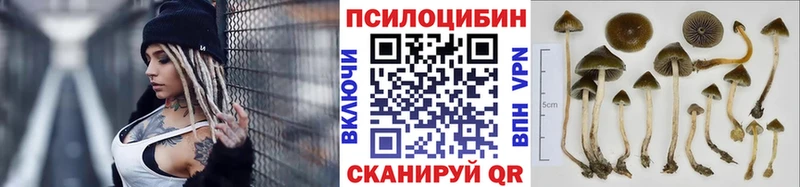 Псилоцибиновые грибы мицелий Мурманск