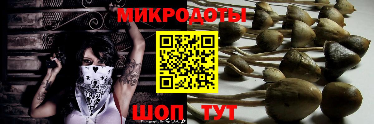 Галлюциногенные грибы Magic Shrooms Мурманск